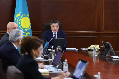 «Нужен ли такой бизнес?»: субсидирование частных школ и клиник пересмотрят в Казахстане