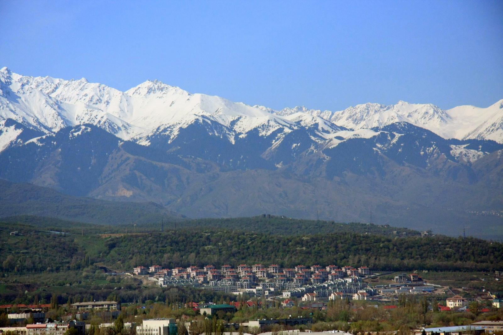 Секс Алмата Бесплатно