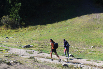 Чиновники нарушали права инвестора в Жамбылской области