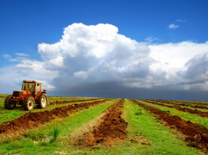 Пять миллионов гектаров сельхозземель планируют изъять в Казахстане