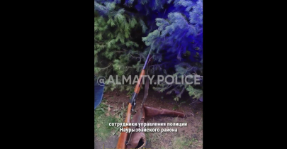 Оружие в мусорке нашли в Алматы