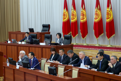 Вопрос домашнего насилия подняли в парламенте Кыргызстана