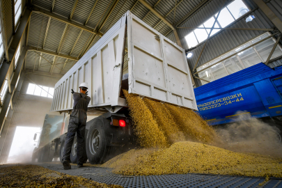 Миллиард тенге могут потерять казахстанские фермеры из-за плохого урожая