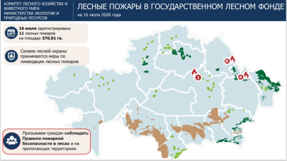 Лесные пожары охватили несколько регионов Казахстана