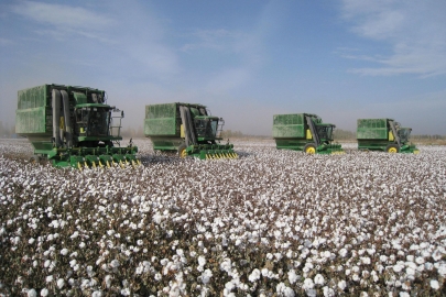 Права крестьянских хозяйств нарушались в Туркестанской области