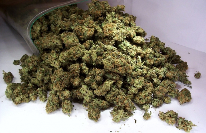 Изъятие марихуаны в он что можно варить из конопли