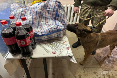 Передачу марихуаны осужденному пресекли в Кызылординской области