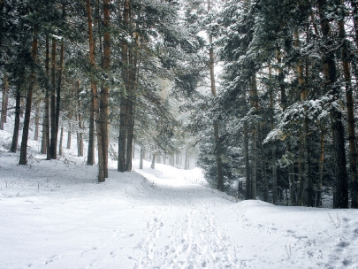 Кофе и чай в обмен на мусор раздают туристам в горах Алматы