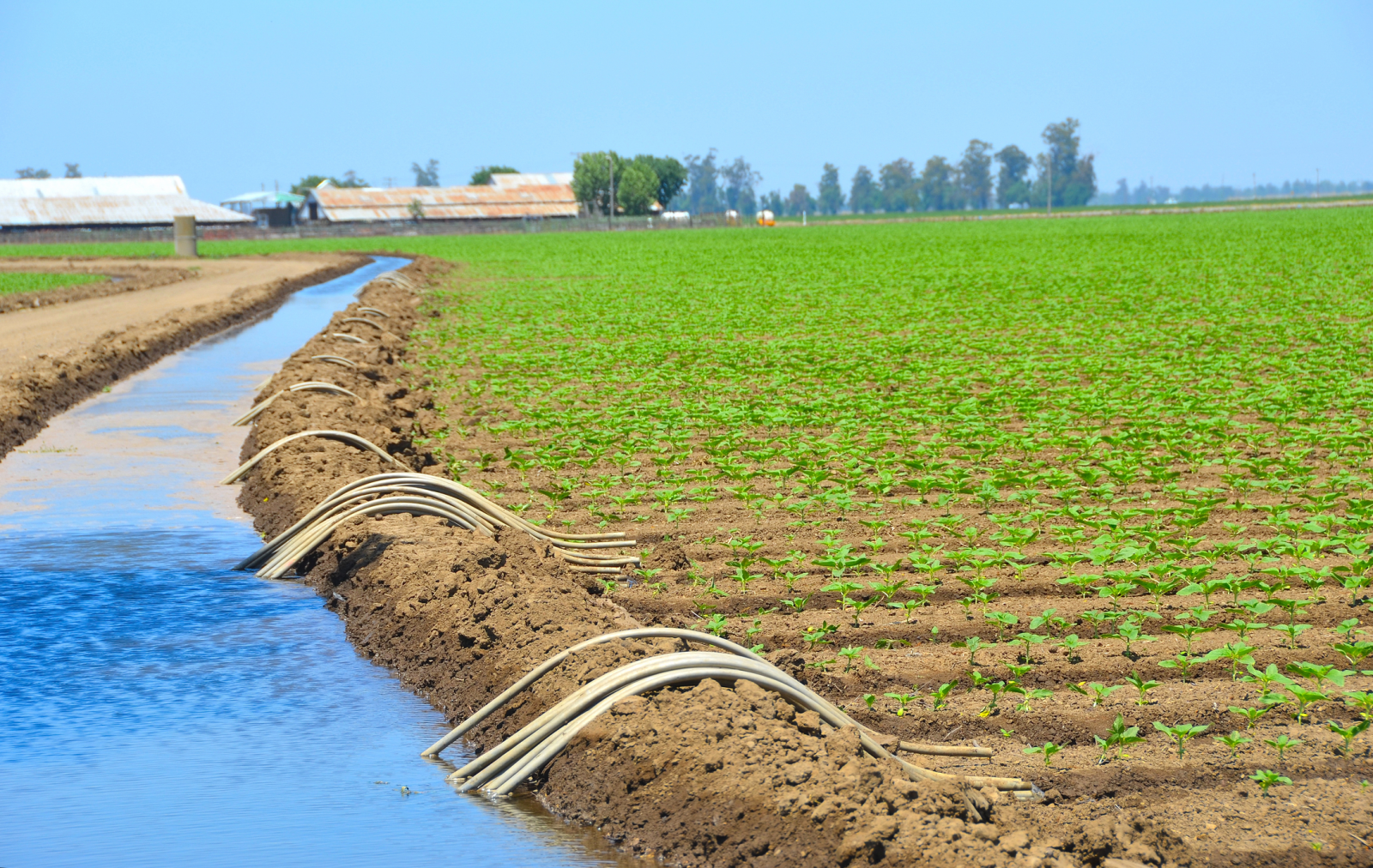 Сельскохозяйственные стоки. Вода в сельском хозяйстве. Орошение почвы. Сельское хозяйство полив. Осушение и орошение почв.