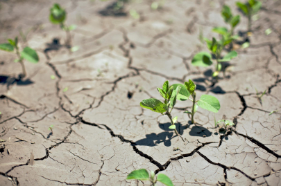 «Казгидромет» выпустил уточнение к прогнозу засухи на июль