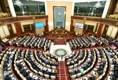 Совестно бороться с нелегалами будут Казахстан и Австрия 