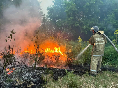 Режим ЧС в связи с лесными пожарами введен в Семее
