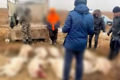 Браконьеров с тушами сайгаков задержали в Актюбинской области