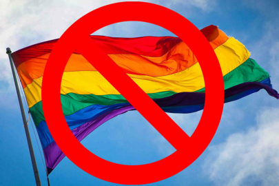 За запрет ЛГБТ-пропаганды: более 45 тысяч подписей собрала петиция