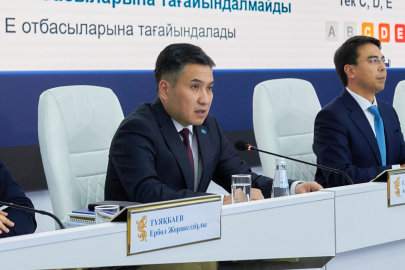 Калькулятор определил статус министра труда Казахстана