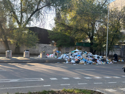 Штрафы за мусор — новые полномочия появились у акиматов