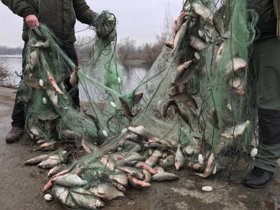 Более 160 килограммов незаконно выловленной рыбы изъяли в Костанайской области