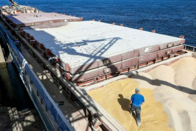 Два сухогруза с соей и кукурузой вышли из портов Украины