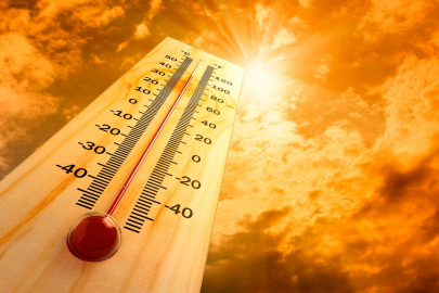 Жара до +40°С ожидается в Туркестанской области 