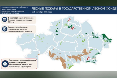 Три лесных пожара зафиксировали в Казахстане за сутки
