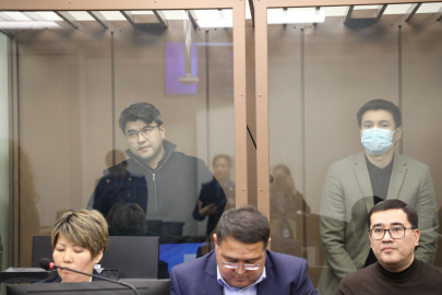 Первое заседание в суде прокомментировал адвокат Бишимбаева