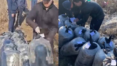 Крупный канал сбыта наркотиков ликвидирован в Павлодарской области