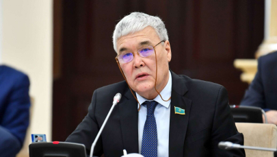 Сенатор подверг критике работу правительства по реализации прорывных проектов в Казахстане