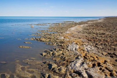 Рост уровня воды наблюдается в Северном Аральском море