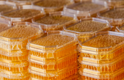 Контрабанда меда пресечена в Жамбылской области