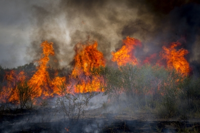 В Греции объявлен повышенный уровень опасности из-за угрозы лесных пожаров
