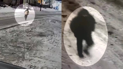 Кражу сейфа с крупной суммой раскрыла полиция в Караганде