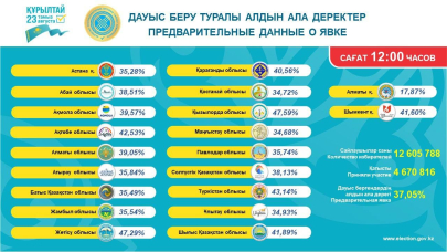 47,59% против 17,87%: ЦИК назвала регионы-лидеры и аутсайдеры по явке на выборы
