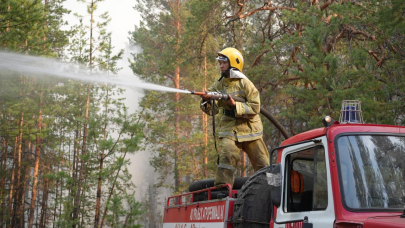 769 человек и 8 вертолетов: в области Абай локализовали лесной пожар