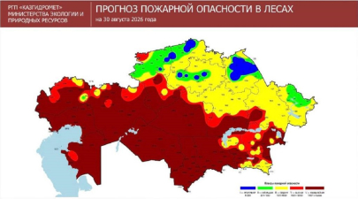 Пять лесных пожаров зафиксировали в Казахстане