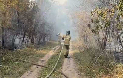 Огнеборцы продолжают тушить пожар в Ханской роще 
