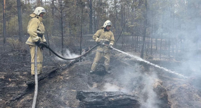 8,5 миллиарда тенге выделят на надбавки для лесников и лесных пожарных