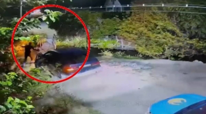 В Жамбылской области полиция устроила погоню за пьяным водителем