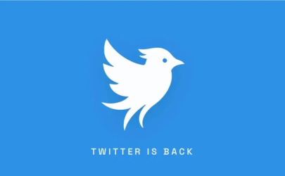 Заработал новый Twitter — вопреки воле Илона Маска