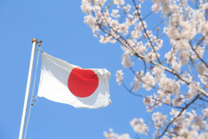 Состав нового правительства объявлен в Японии
