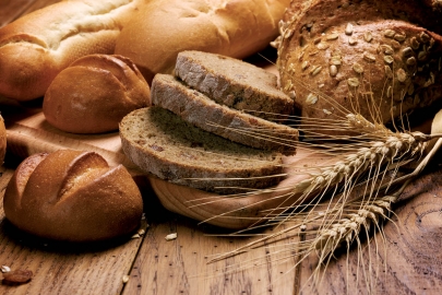 Колледжам в Казахстане официально разрешат продавать свою продукцию