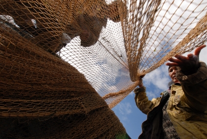 Запрет на ловлю рыбы введен в ряде регионов Казахстана