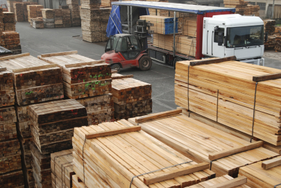 Ввоз зараженной древесины из России пресечен в ВКО
