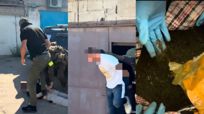 Двух павлодарцев задержали с 60 килограммами марихуаны