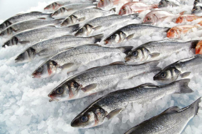 Казахстанская рыбная продукция будет экспортироваться в страны ЕС