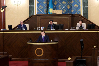 Искажения на 132 миллиарда тенге: ВАП указала на перекосы в мерах господдержки бизнеса