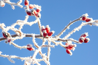 Снежная погода сохранится в ряде областей Казахстана