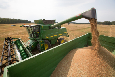 Ввести запрет на экспорт зерна с 1 сентября предлагают в Зерновом союзе Казахстана